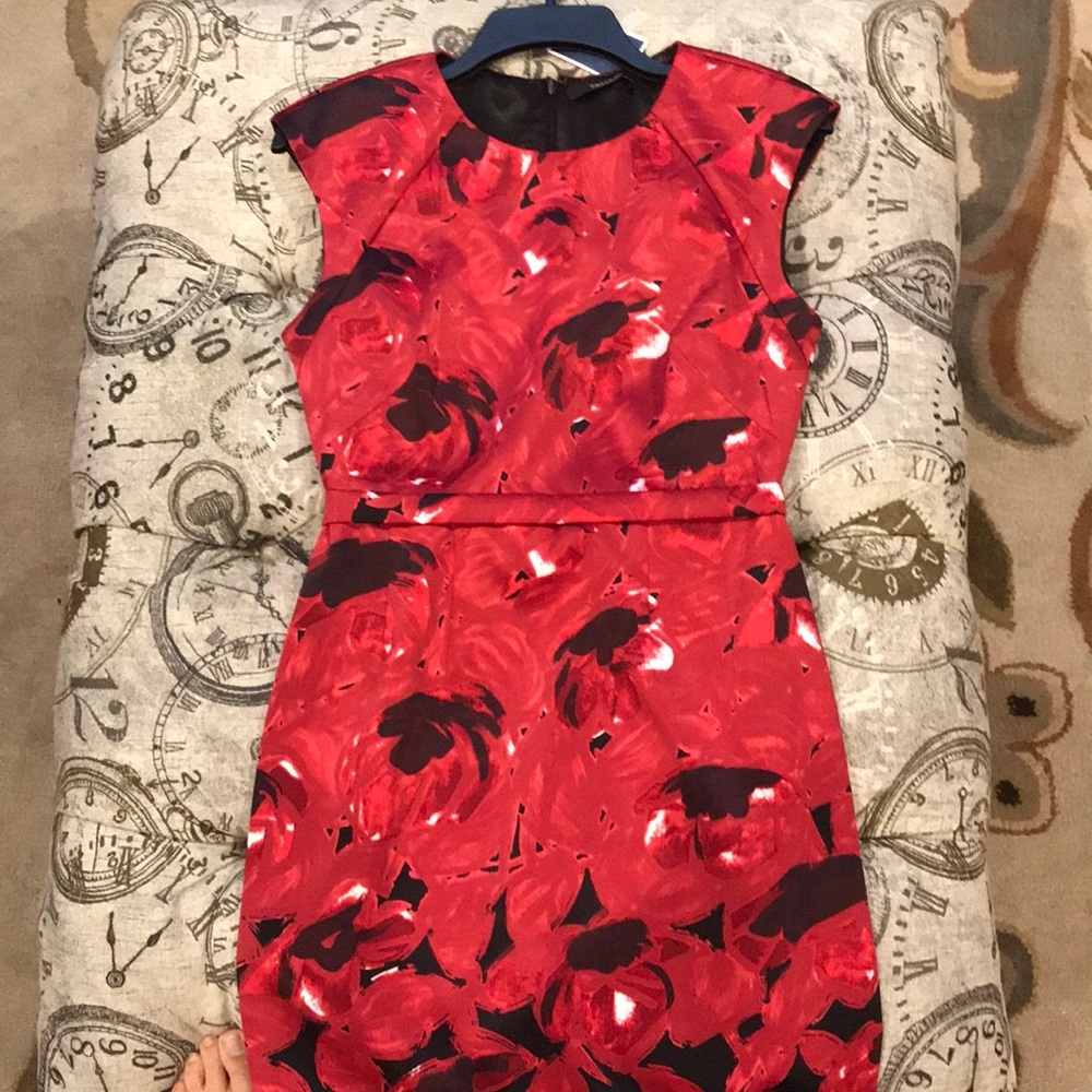 Tahari Asian inspired dress